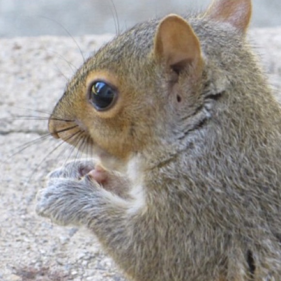 Meet your Posher, Great Willow Clothing! - Picture 3 of 3